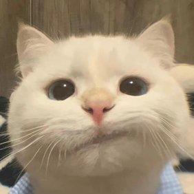 扣篮先锋